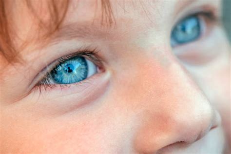 25500 Bebes Ojos Azules Fotografías De Stock Fotos E Imágenes Libres