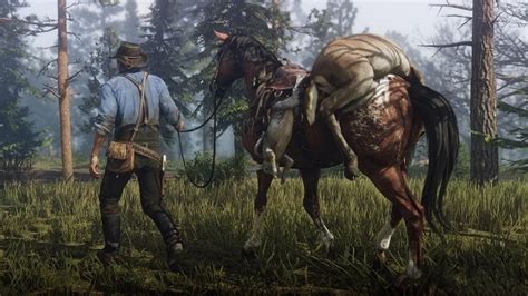 Quick and simple daily challenge info. Red Dead Redemption 2 Hunting Guide - Track Animals, Pelts and Meat