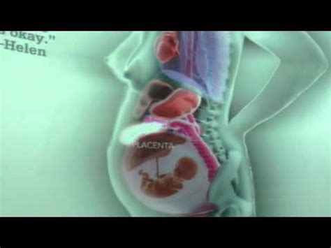 Some of these physical changes are visible, such as an expanding belly and weight gain, while others are well known, such as an enlarged uterus, morning sickness and backaches. Internal Organs Throughout Pregnancy - YouTube