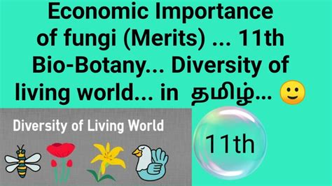 Rice as a global staple food. Economic Importance of fungi... 11th Bio-Botany ...