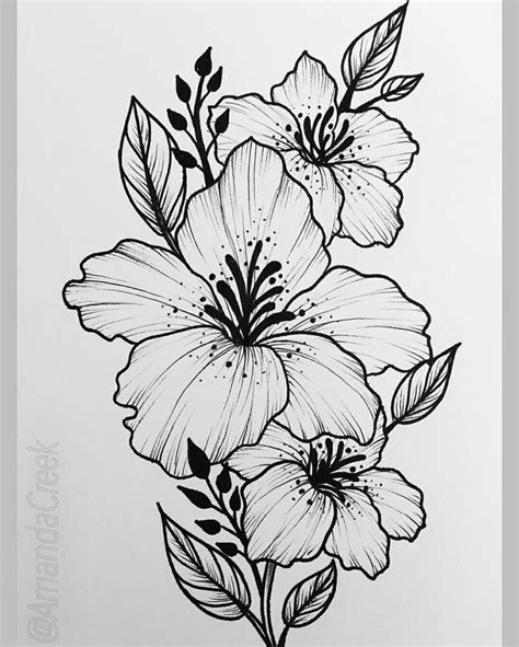 25 Beautiful Flower Drawing Information Ideas Brighter Craft
