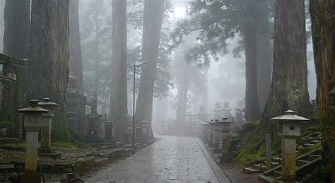 Mount Koya Koyasan Travel Guide