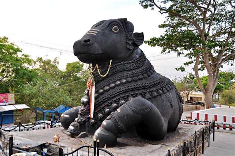 Bull Temple Bangalore Timings History And Legend