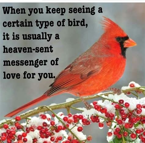 Pin By Betty Stephenson On Crea Cardinal Birds Cardinal Birds