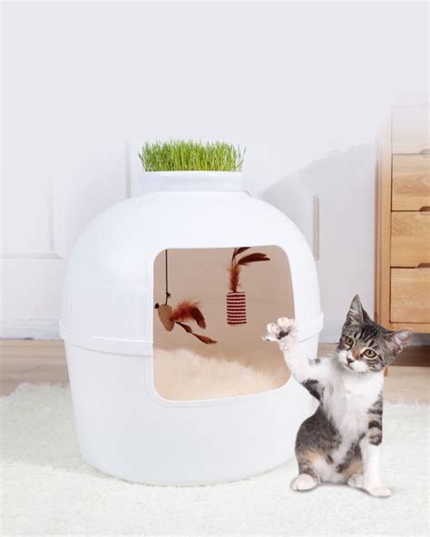 Free delivery for orders over £30. Eco-friendly Cat Toilet Plastic Cute Cat Litter Box - Buy ...