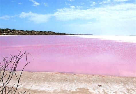 Mybestplace Lake Hillier The Mystery Of The Pink Lake