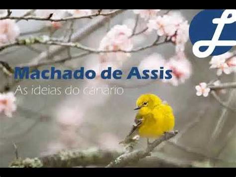 Audiolivro Contos Machado de Assis Ideias de canário YouTube