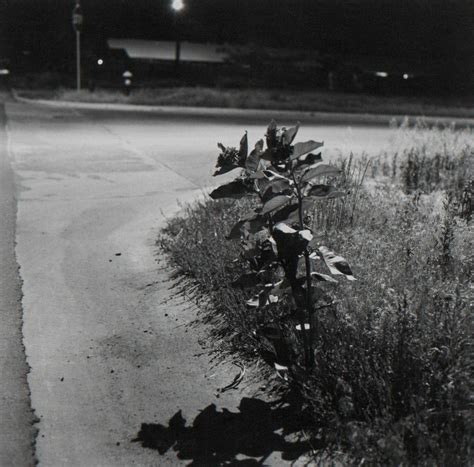 Night Landscape Landscape Art Landscape Photography Robert Adams