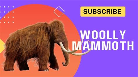 Woolly Mammoth Youtube