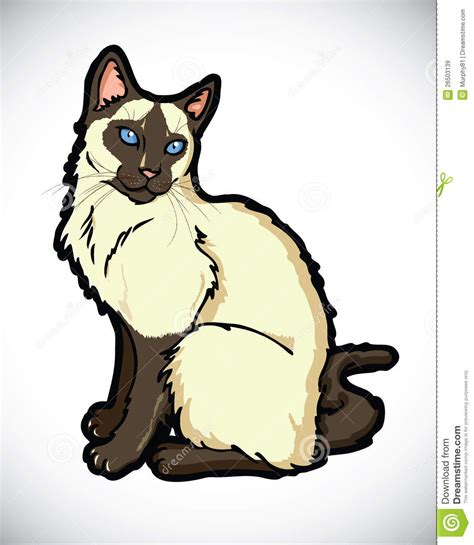 Siamese Cartoon Cat Royalty Free Stock Images Image 26503139