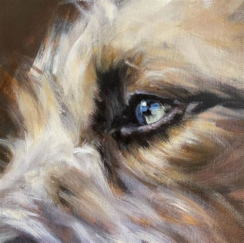 Eye Detail Wild And Domestic Animal Paintings By Southern California