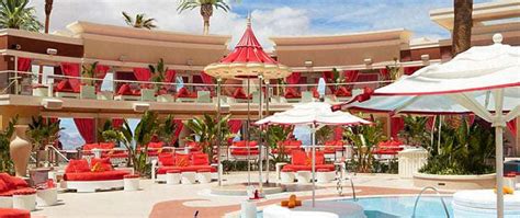 Surrender Encore Beach Club Pool Party Promoter Now