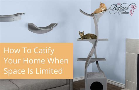 How To Catify Your Home When Space Is Limited The Refined Feline