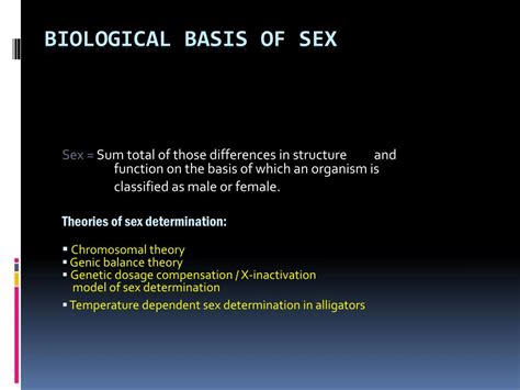 Ppt Biological Basis Of Sex Powerpoint Presentation Free Download