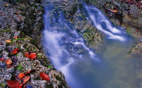 River Waterfall Leaves Nature Wallpaper 1920x1200 101211 Wallpaperup