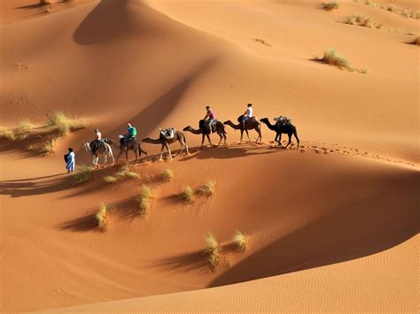 Sahara Desert Trek Global Morocco Exploration