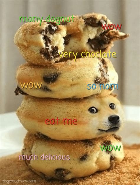 Delicious Chocolate Dognuts 😋 Doge Much Wow