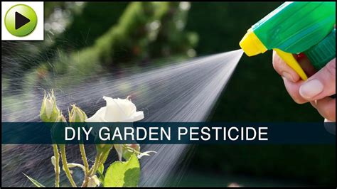 Homemade Garden Pesticide Youtube