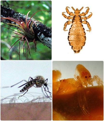 Check spelling or type a new query. Kereta-Sains: Interaksi dalam Ekosistem