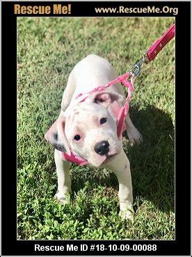 2,634 likes · 45 talking about this. - North Carolina Dog Rescue - ADOPTIONS - Rescue Me!