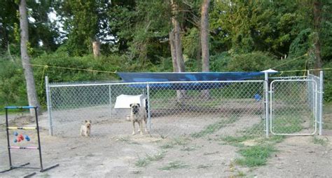 How to build a backyard dog run 1. Should I Build or Buy a Dog Kennel Run? | PetHelpful