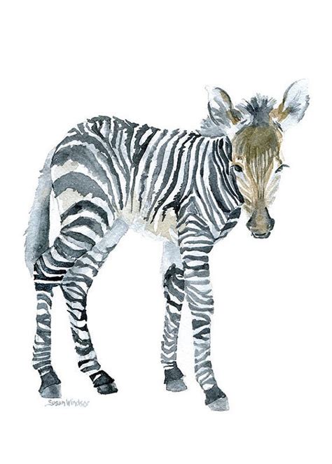 Zebra Watercolor Painting 5 X 7 Giclee Print Reproduction Fine