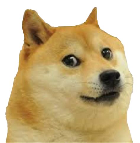 Doge Png Transparent Images Free Psd Templates Png Free Psd Images