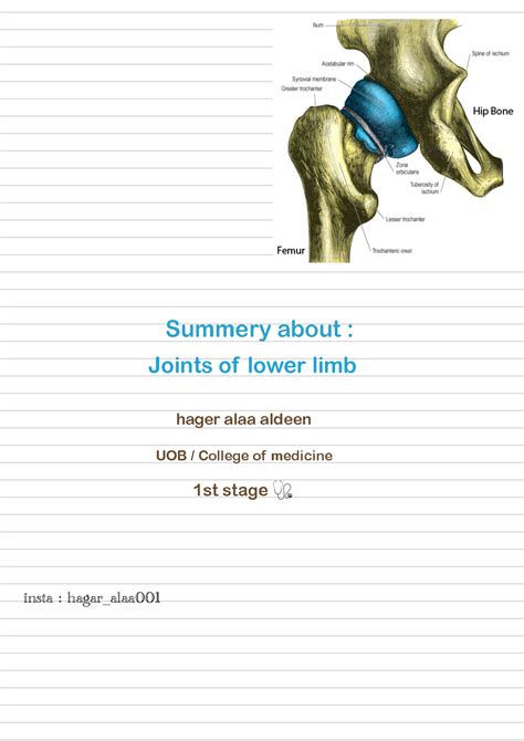 Solution Joints Of Lower Limb Studypool