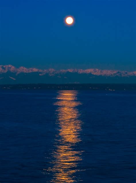 Moonlight On The Water Phil Dev Flickr