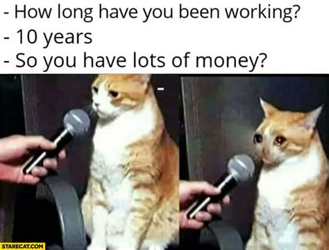 As well as how long cats live on average, and how we can help our cats to live as long and healthy a life as possible. Cat how long have you been working? 10 years, so you have ...