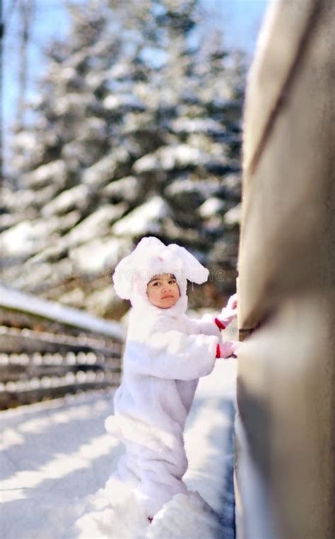 Snow Bunny Stock Photo Image Of Costume Bokeh Gloves 4326862