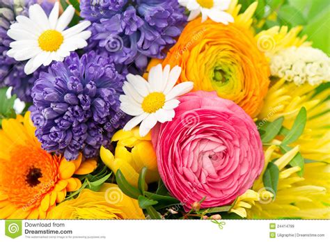 Beautiful Bouquet Of Colorful Spring Flowers Stock Image