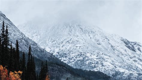Download Wallpaper 3840x2160 Mountain Peak Snow Forest Trees
