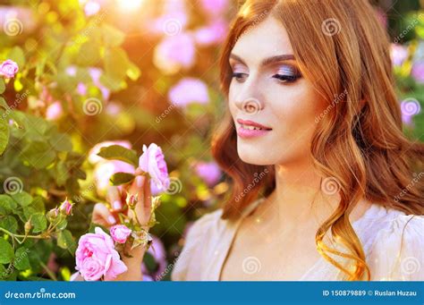 Portrait Of Beautiful Young Woman Posing By Rose Bush Stock Image