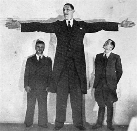 the top 10 tallest people to have ever lived