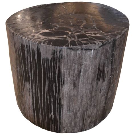 Petrified Wood Side Table For Sale At 1stdibs