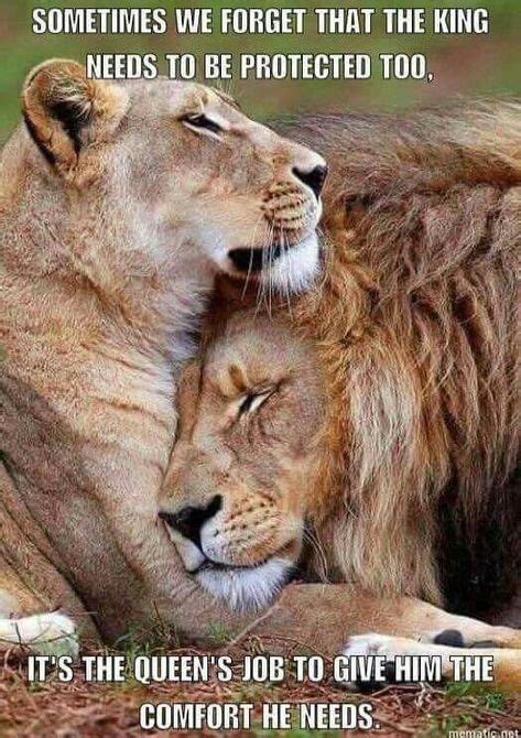 You can tell that to zira when she gets back.. Anicklebitome — Sometimes | Lion quotes, Lioness quotes, Lion love