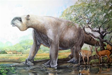 Prehistoric Giant Ground Sloth Megatherium Americium With Pampas Deer