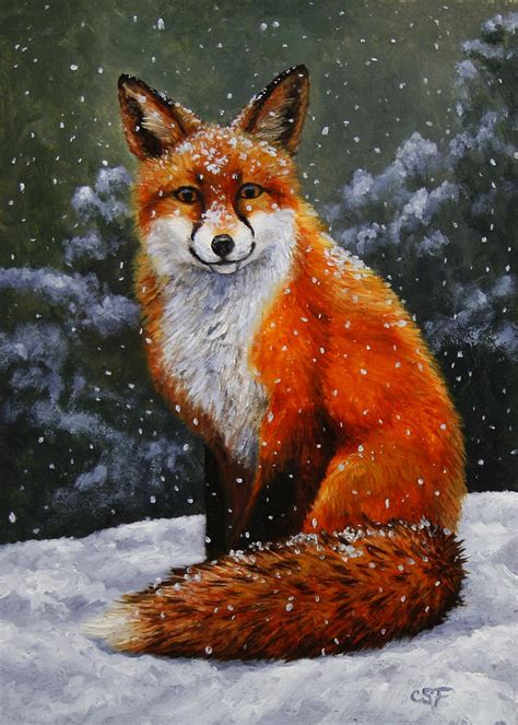 Snow Fox Painting By Crista Forest Fine Art America