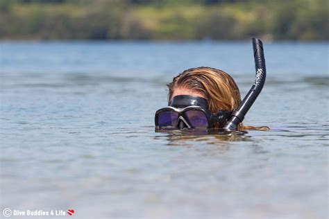 How To Equalize Your Ears While Scuba Diving Dive Buddies 4 Life