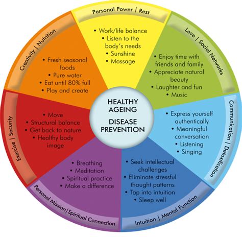 The Wellness Wheel Balancing Life Wellness Wheel Mental And