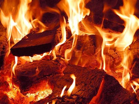 9 Tips For Burning Firewood At Home Firewood Centre