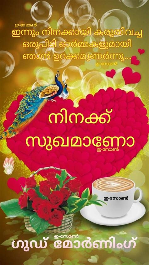 By using this app, users can easily share any image as a greeting card for good morning messages to your lovers,boyfriend,husband and. Pin by Eron on Good morning ( Malayalam ) | Beautiful good ...