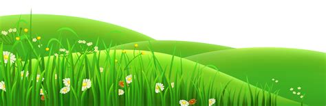 Meadow Euclidean Vector Clip Art Transparent Flowers And Grass Png