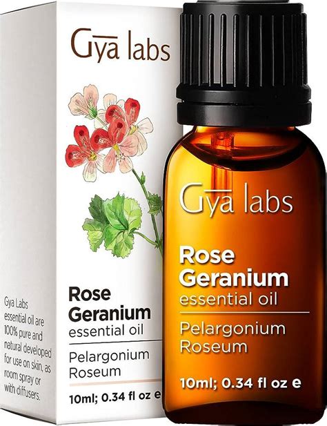 S Best Rose Geranium Essential Oils Find The Perfect Fit For