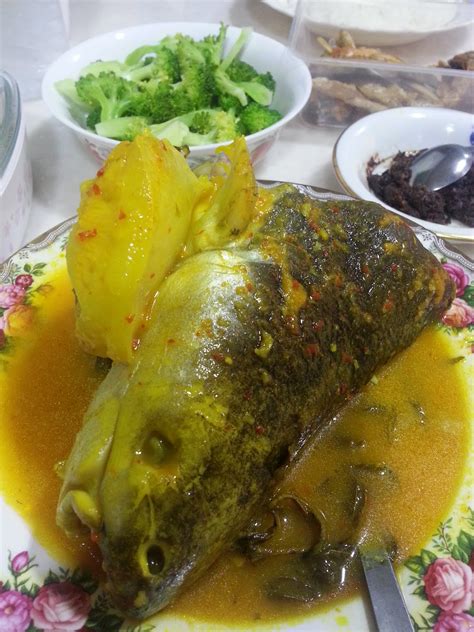 Bahkan ramai juga pelancong dari luar negara yang datang ke malaysia untuk. Gulai tempoyak ikan patin.....