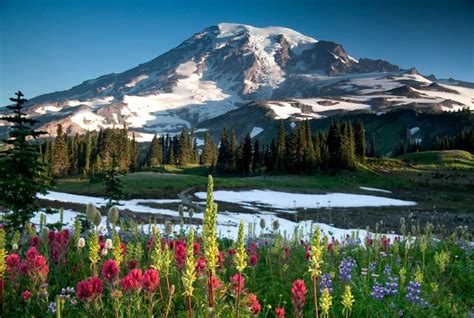 National Parks In Washington State What To See In 2024