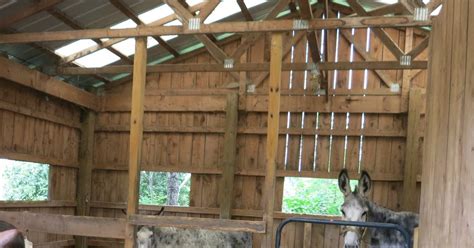 The Dancing Donkey Stable Relations