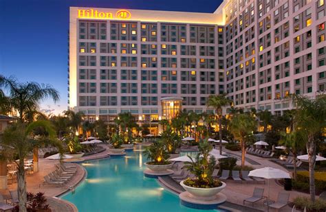 Hilton Orlando Orlando Fl 25601 Featured