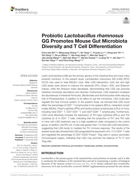 Pdf Probiotic Lactobacillus Rhamnosus Gg Promotes Mouse Gut